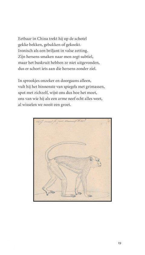 Het Artisbestiarium