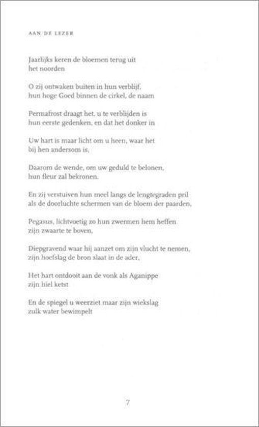 Van de verliezer & de lichtbron