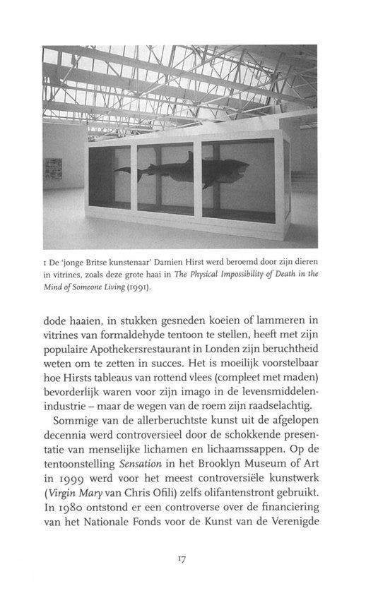 Maar is het kunst?