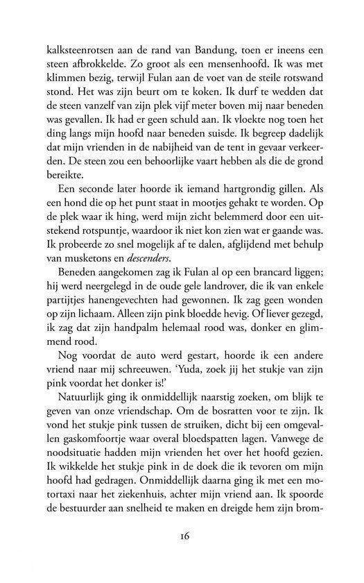 Het getal Fu