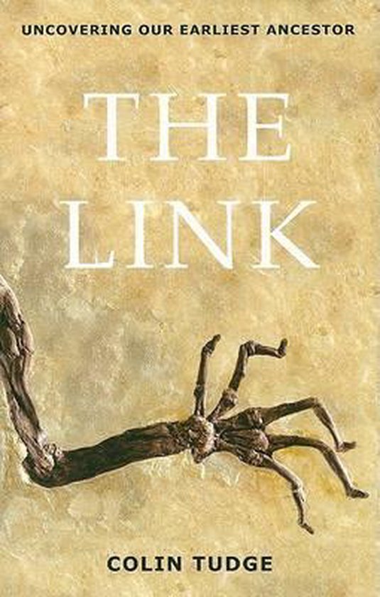 The Link