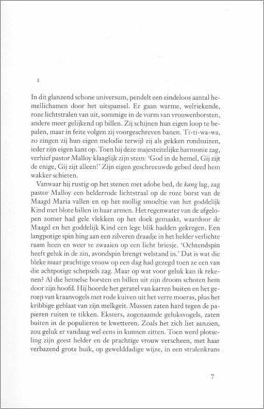 Grote Borsten Brede Heupen