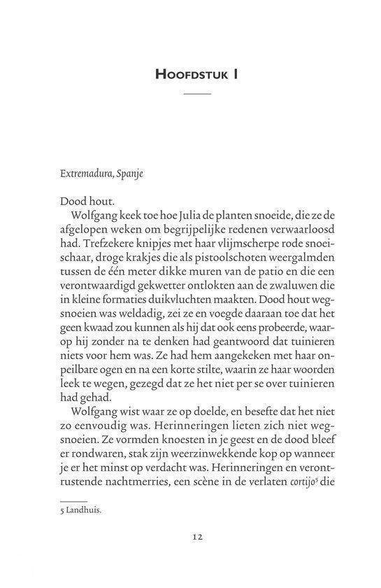Schaduwspel