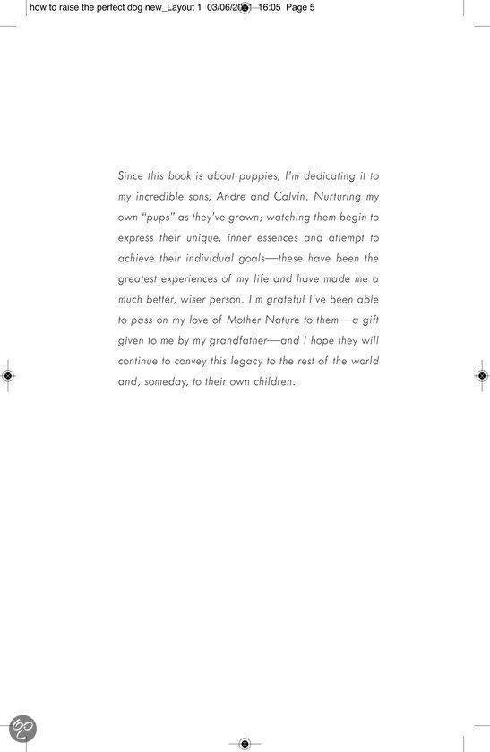 How To Raise The Perfect Dog