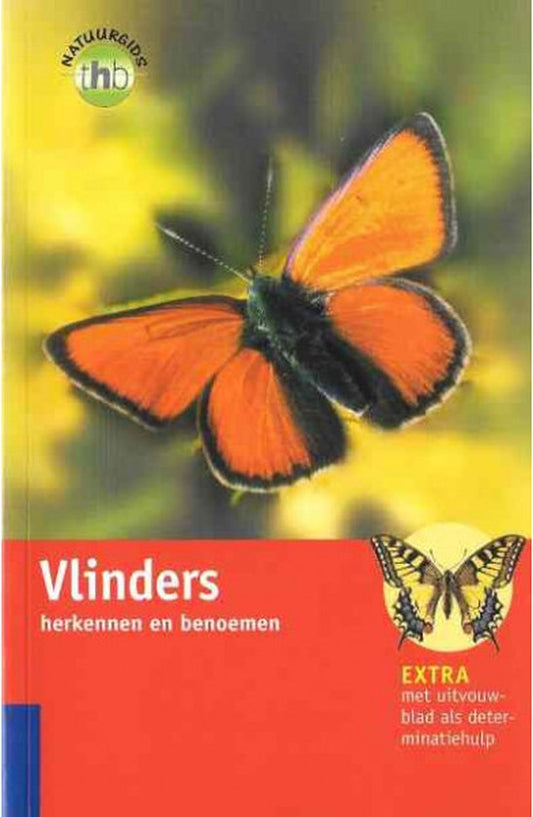 Vlinders Herkennen En Benoemen