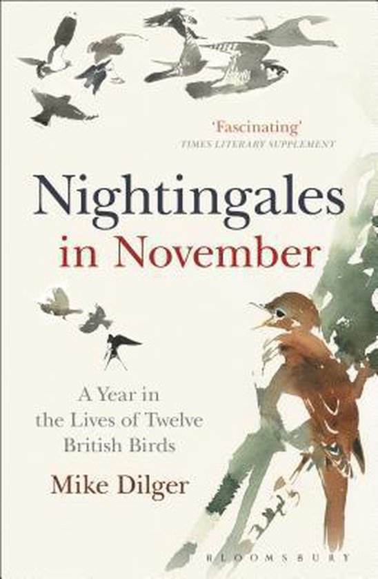 Nightingales in November