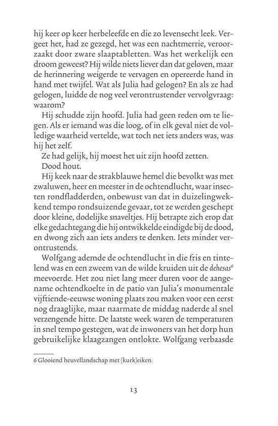 Schaduwspel