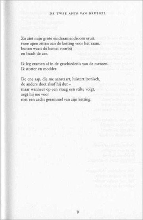 Uitzicht Met Zandkorrel