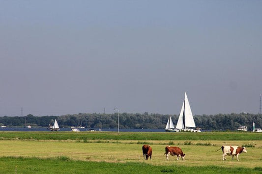 Verlangen naar de zee