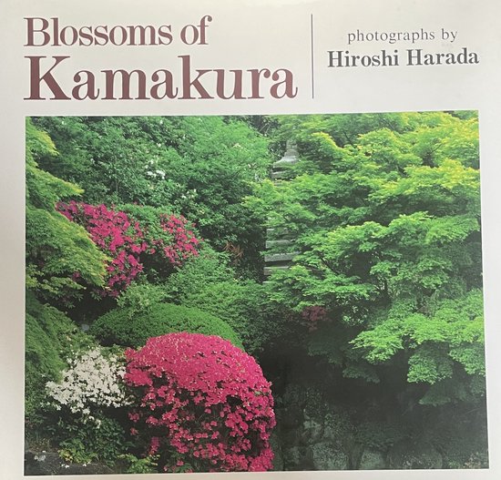 Blossoms of Kamakura/Japanese/English