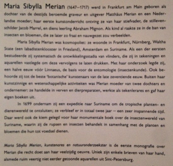 Maria Sibylla Merian : 1647-1717 : kunstenares en natuuronderzoekster