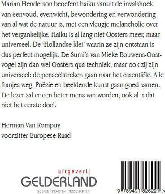 Een wolk veegt de maan