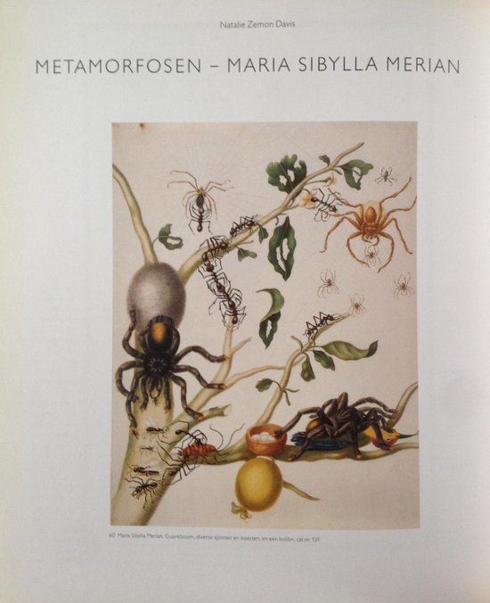 Maria Sibylla Merian : 1647-1717 : kunstenares en natuuronderzoekster