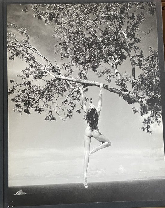 Patrick Demarchelier Fotografien