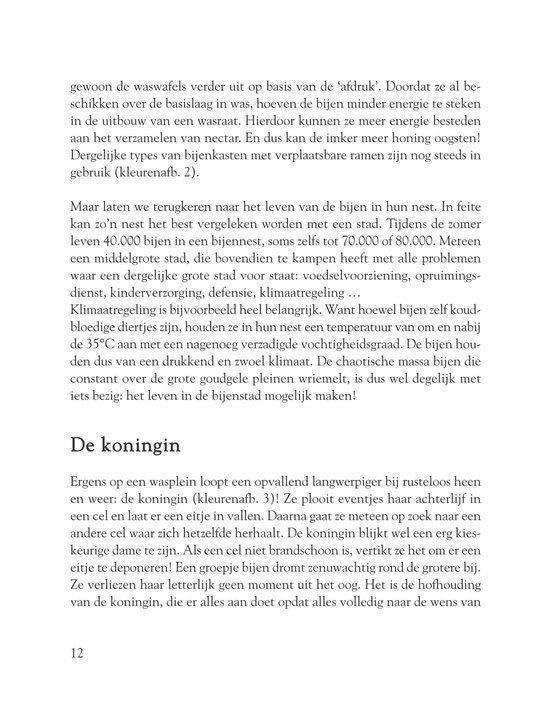 Tranen van de zon