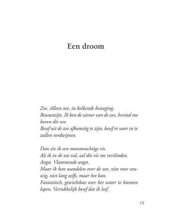 Over het brein