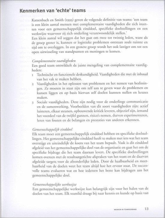 Professioneel leiderschap - Teamleiderschap