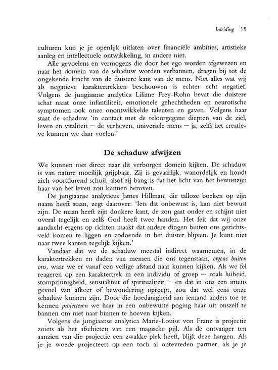 Ontmoeting met je schaduw