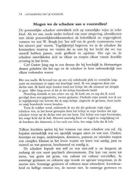 Ontmoeting met je schaduw