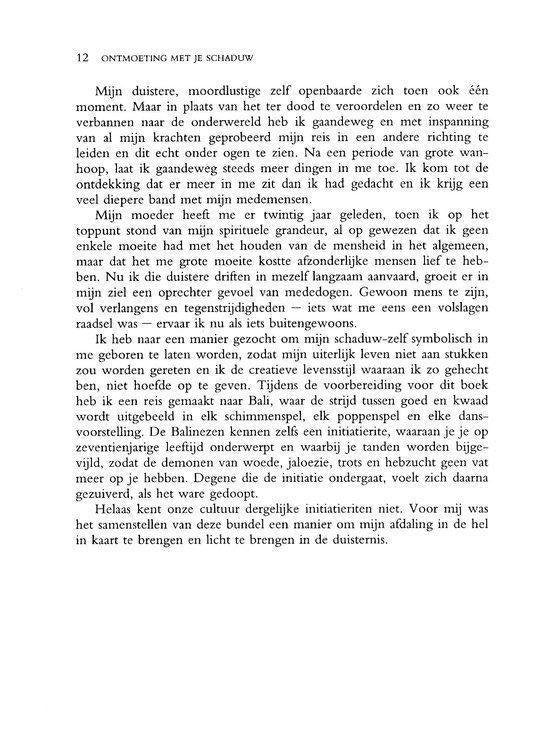 Ontmoeting met je schaduw