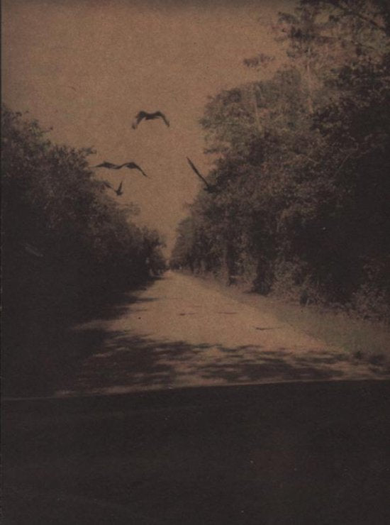 Bert Teunissen - on the Road, Everglades