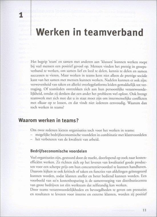 Professioneel leiderschap - Teamleiderschap