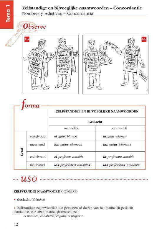 Grammatica in gebruik - Spaans