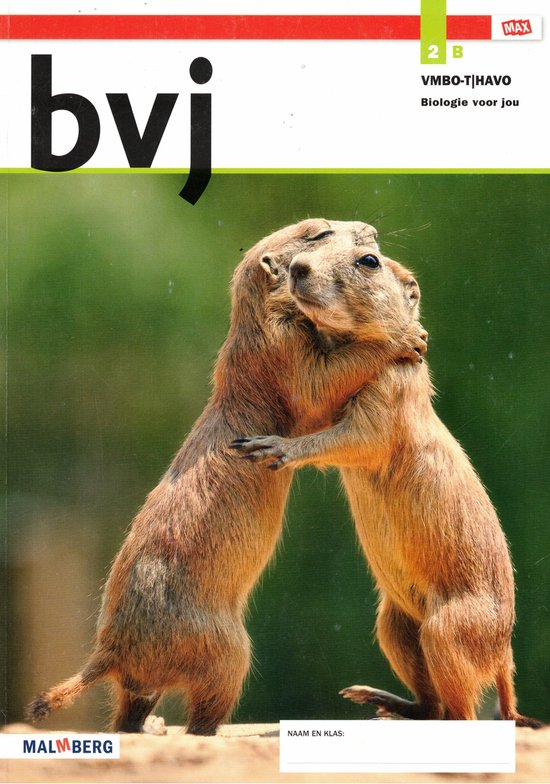 BVJ 2B VMBO-T/HAVO