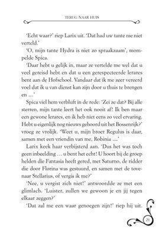 De kronieken van Fantasia 5 - Het versteende eiland