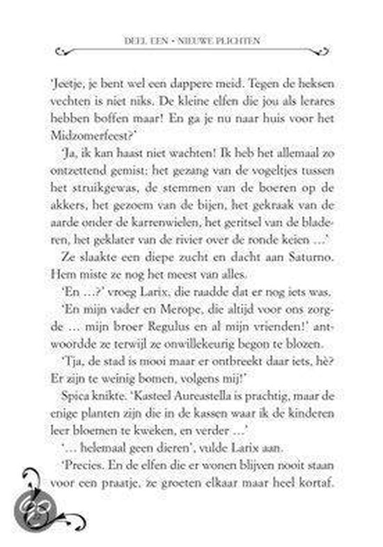 De kronieken van Fantasia 5 - Het versteende eiland