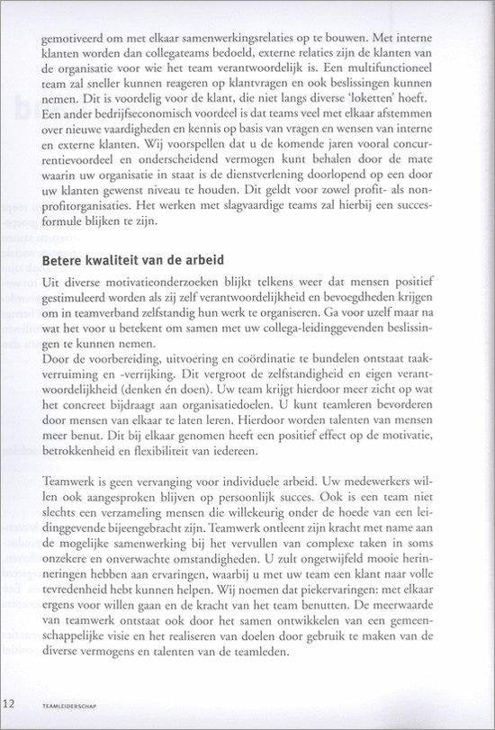 Professioneel leiderschap - Teamleiderschap