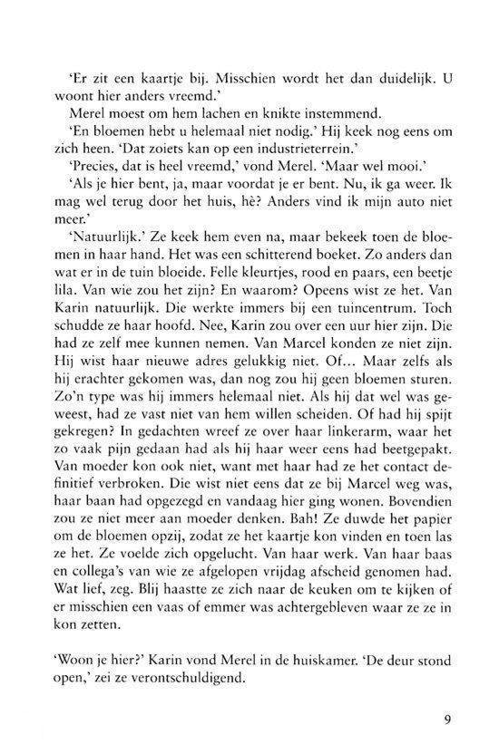 Vogelvlucht