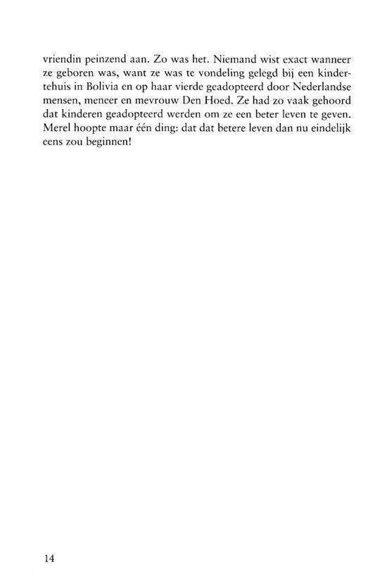 Vogelvlucht