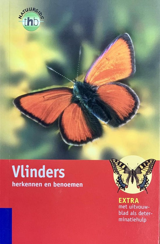 Vlinders Herkennen En Benoemen