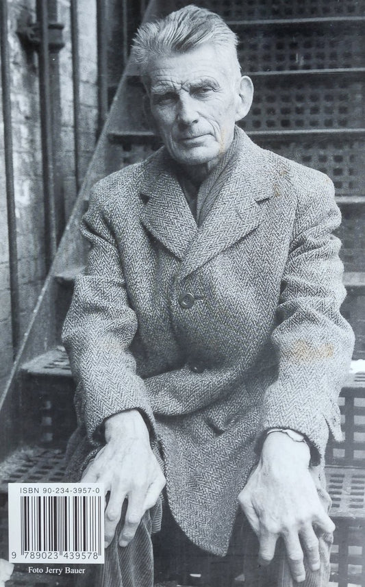 Droom Van Matig Tot Mooie Vrouwen