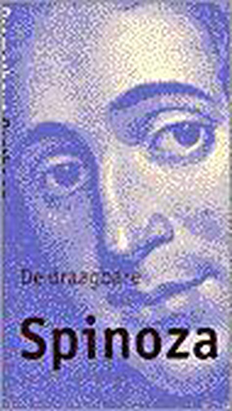 Draagbare spinoza