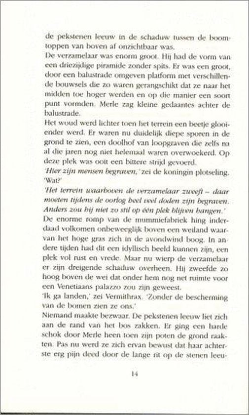 Het Stenen Licht