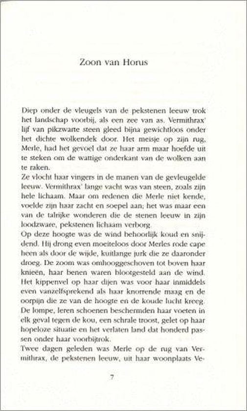 Het Stenen Licht