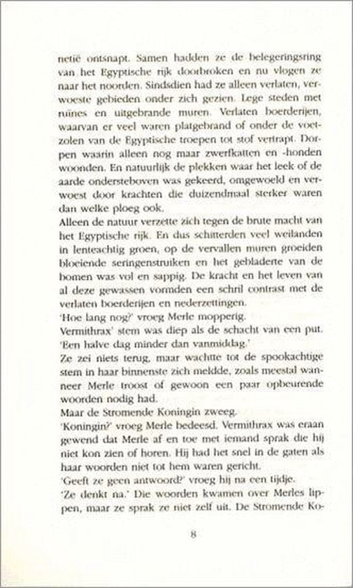 Het Stenen Licht