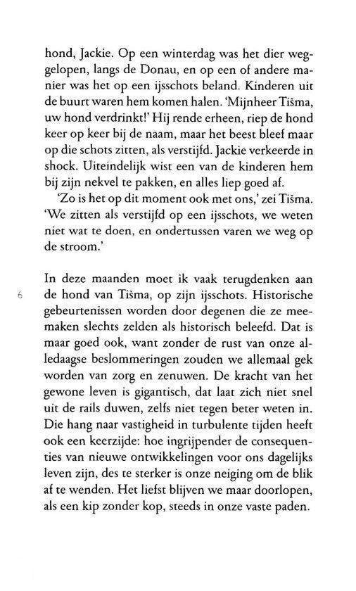 Kleine boekjes 6 - De hond van Tisma