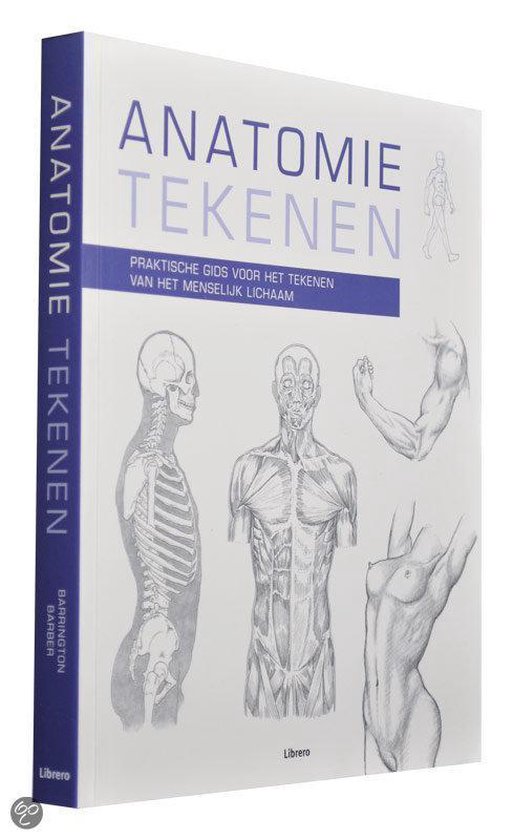 Anatomie Tekenen