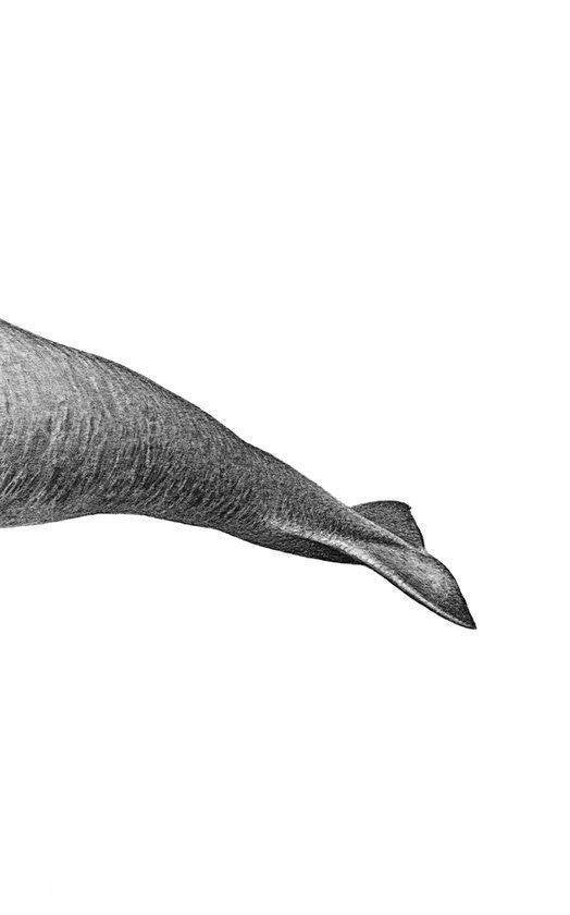 De lessen van mevrouw Lohmark