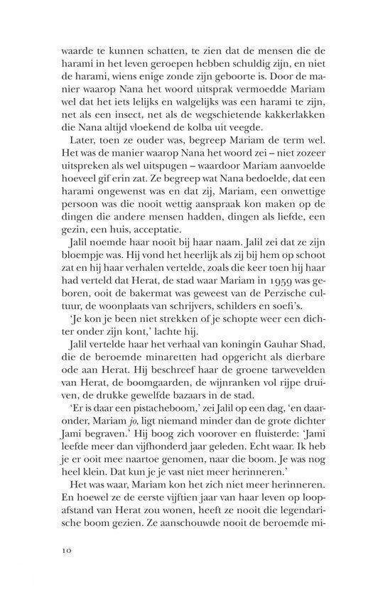 Duizend schitterende zonnen