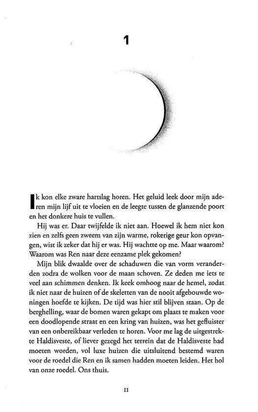 Nachtschade 3 - De eindstrijd