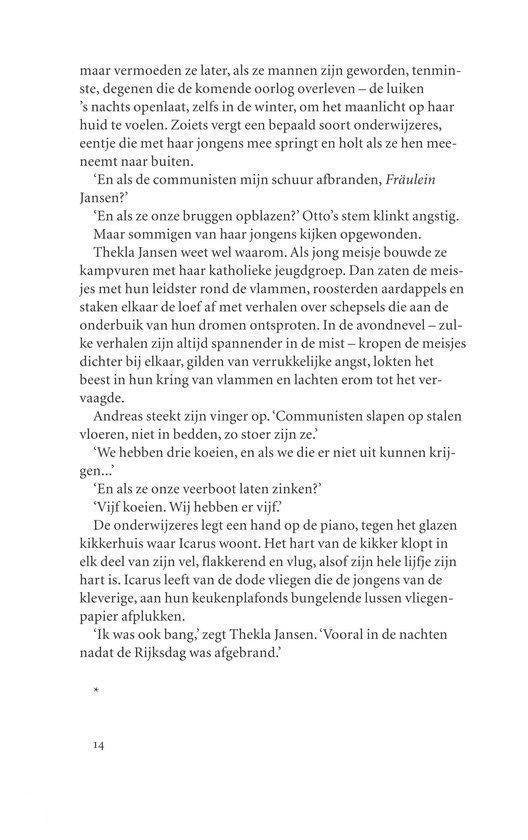 Jongens en vuur