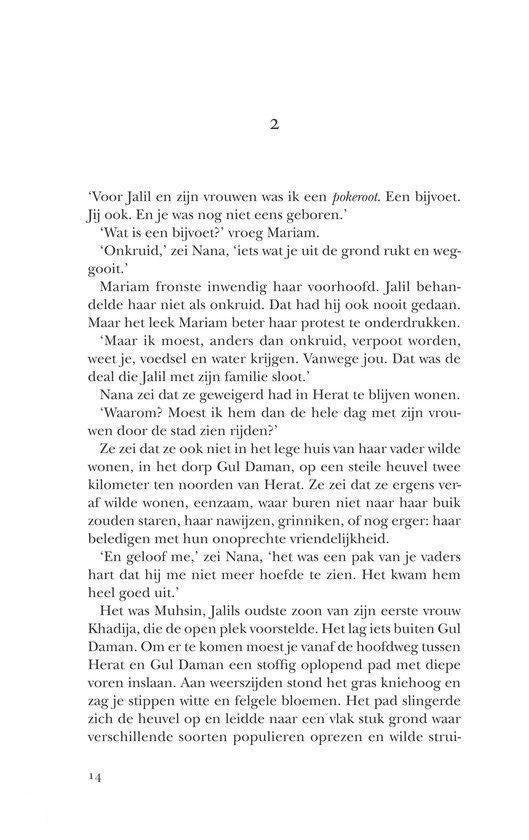 Duizend schitterende zonnen