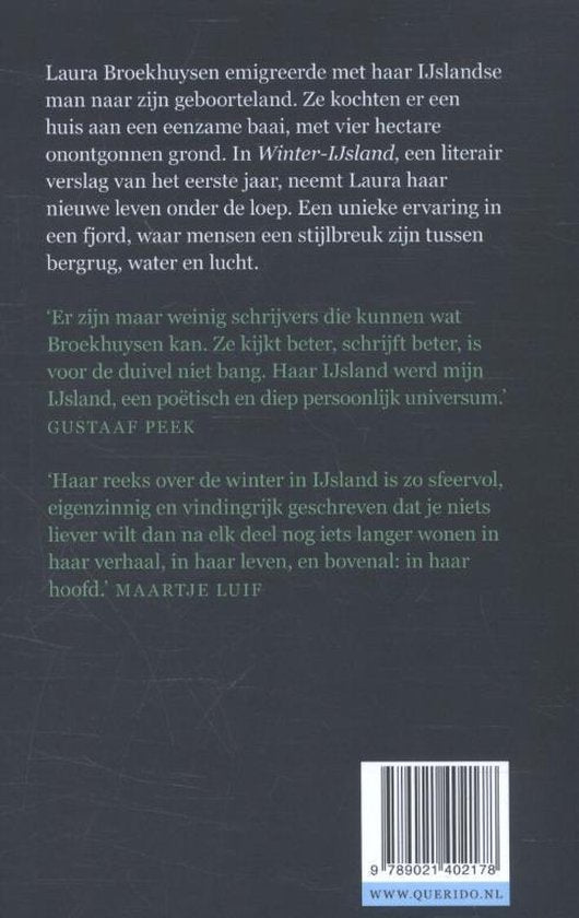 Winter-IJsland