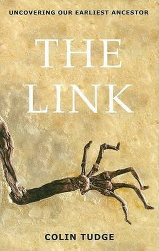The Link