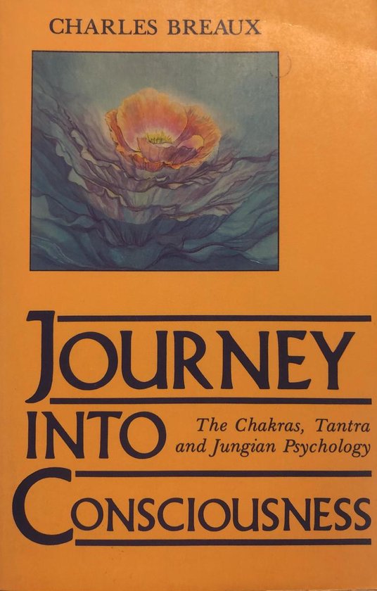 Journey into Consciousness