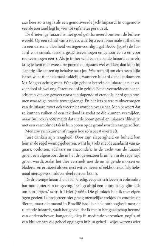 Het Leven Van Pi